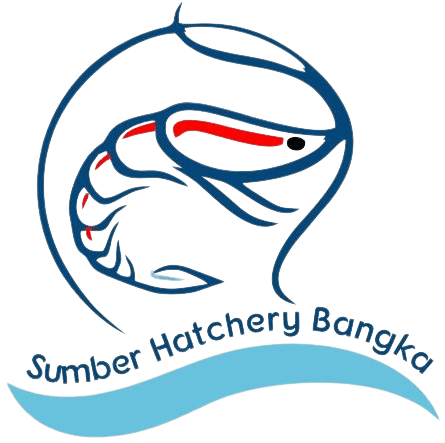 Sumber Hatchery Bangka